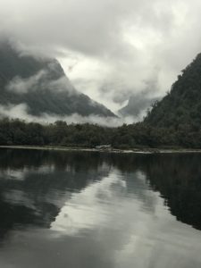 Three weeks in New Zealand and a few reflections | Linda Smith, lindaslife.com